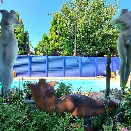 Pretoria-NoordThe Sculpture Yard 1アパートメント エクステリア 写真
