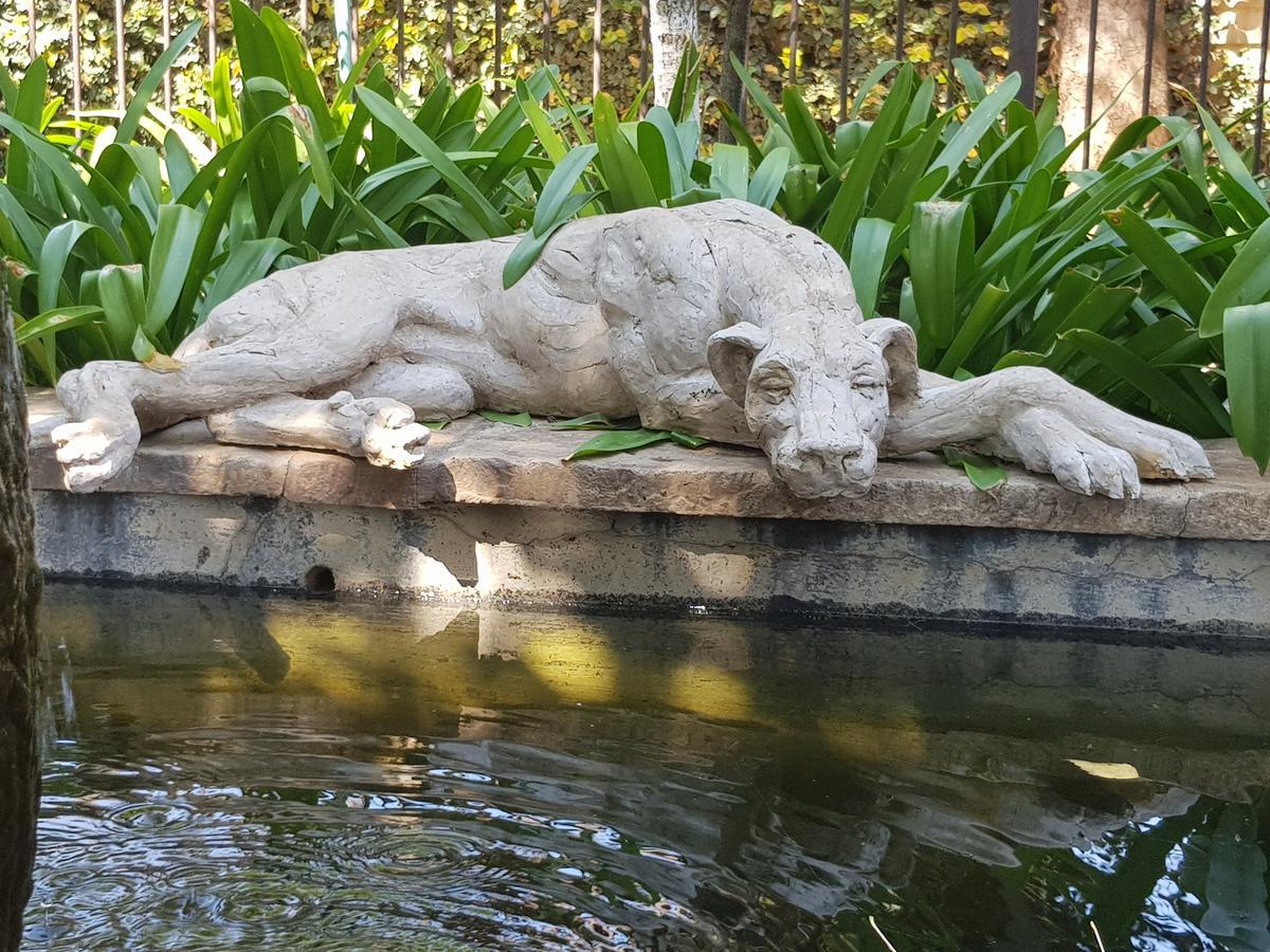 Pretoria-NoordThe Sculpture Yard 1アパートメント エクステリア 写真